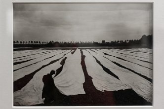 Ets Sander à Haubourdin, séchage des toiles