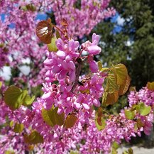 2023-04-20T13_15_41+03_00